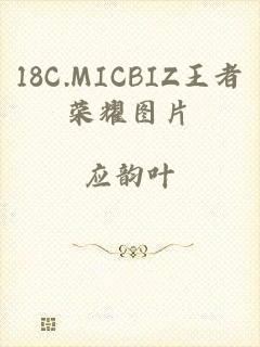 18C.MICBIZ王者荣耀图片