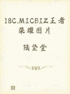 18C.MICBIZ王者荣耀图片