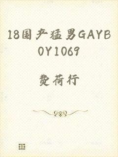 18国产猛男GAYB0Y1069