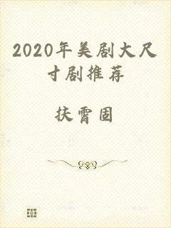 2020年美剧大尺寸剧推荐