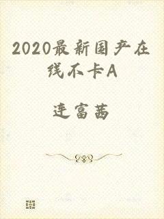 2020最新国产在线不卡A