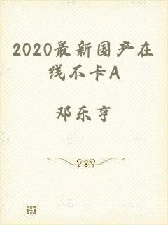 2020最新国产在线不卡A