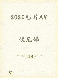 2020毛片AV