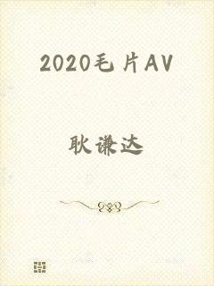 2020毛片AV