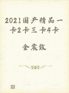 2021国产精品一卡2卡三卡4卡