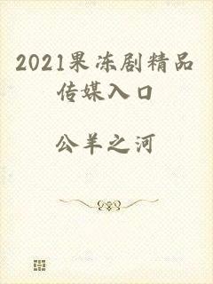 2021果冻剧精品传媒入口