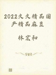 2022久久精品国产精品麻豆