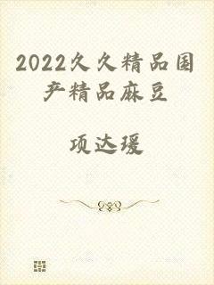 2022久久精品国产精品麻豆