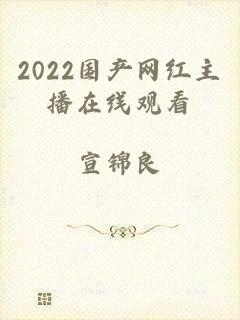 2022国产网红主播在线观看