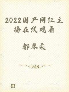 2022国产网红主播在线观看