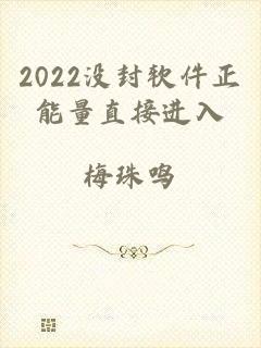 2022没封软件正能量直接进入