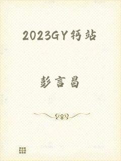 2023GY钙站