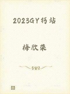 2023GY钙站