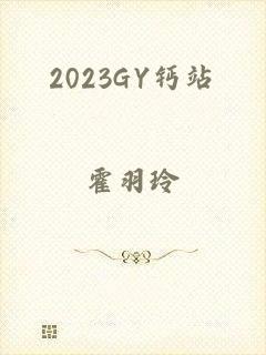 2023GY钙站