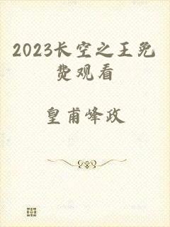 2023长空之王免费观看