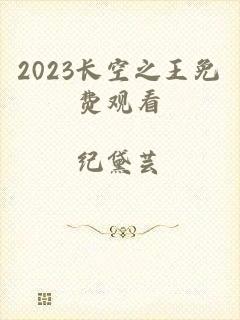 2023长空之王免费观看