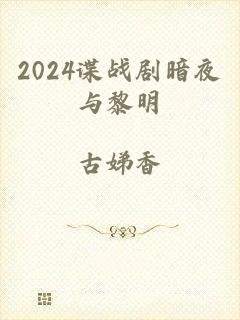 2024谍战剧暗夜与黎明