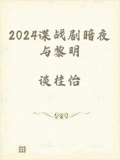 2024谍战剧暗夜与黎明