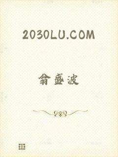 2030LU.COM