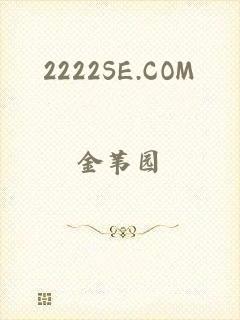 2222SE.COM