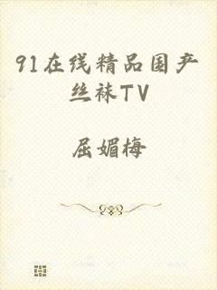 91在线精品国产丝袜TV