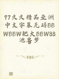 97久久精品亚洲中文字幕无码BBWBBW肥大BBW888