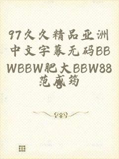 97久久精品亚洲中文字幕无码BBWBBW肥大BBW888