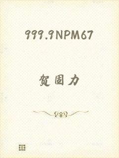 999.9NPM67