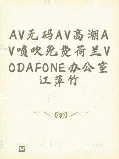 AV无码AV高潮AV喷吹免费荷兰VODAFONE办公室