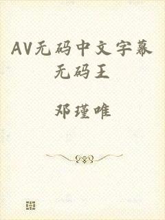 AV无码中文字幕无码王