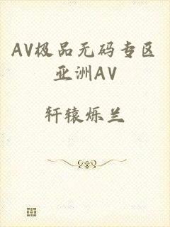 AV极品无码专区亚洲AV