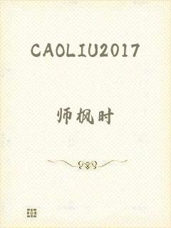 CAOLIU2017