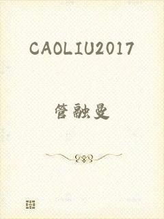 CAOLIU2017