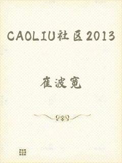 CAOLIU社区2013