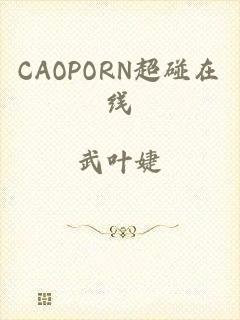 CAOPORN超碰在线