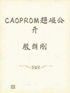 CAOPROM超碰公开