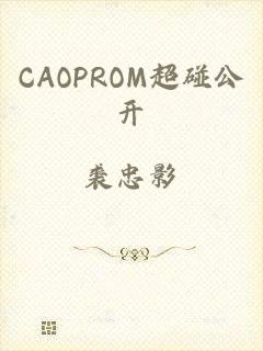 CAOPROM超碰公开