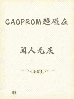 CAOPROM超碰在