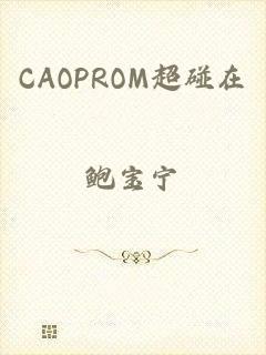 CAOPROM超碰在