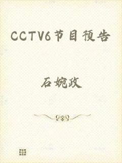 CCTV6节目预告