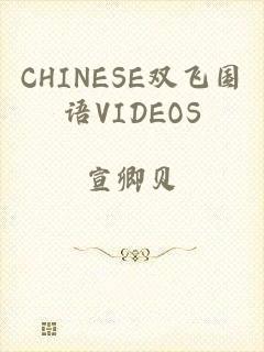 CHINESE双飞国语VIDEOS