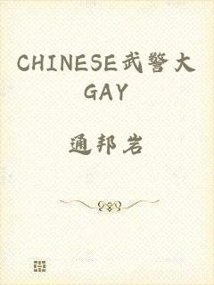 CHINESE武警大GAY