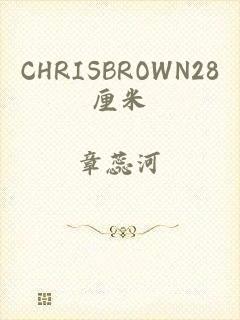 CHRISBROWN28厘米