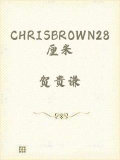 CHRISBROWN28厘米