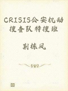 CRISIS公安机动搜查队特搜班