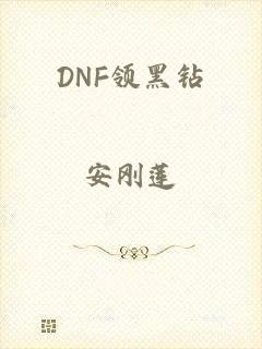 DNF领黑钻