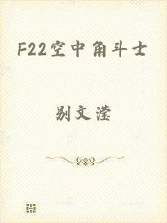 F22空中角斗士