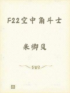 F22空中角斗士