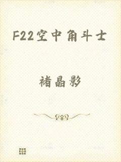 F22空中角斗士