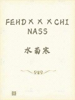 FEHDⅩⅩⅩCHINASS